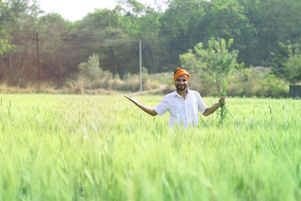 man, agriculture, farmer-6660389.jpg